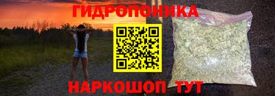 скорость Бердск