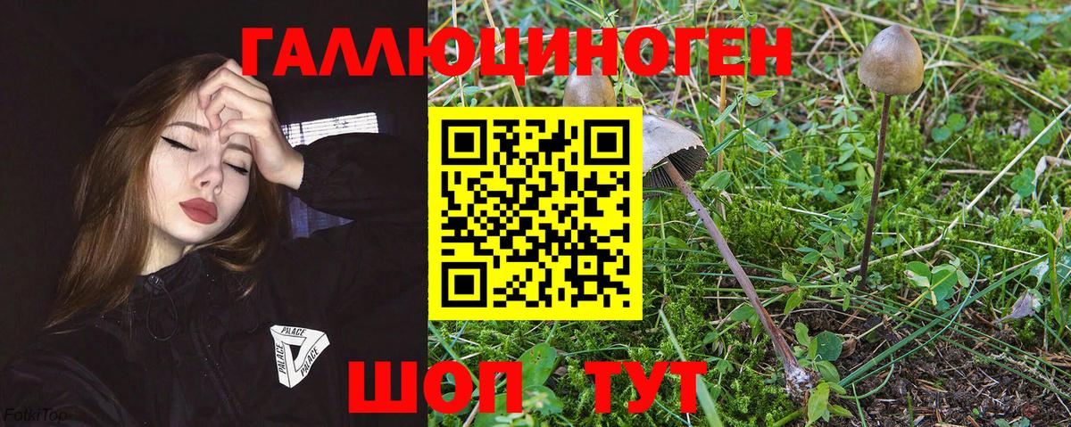 Галлюциногенные грибы прущие грибы Кировск