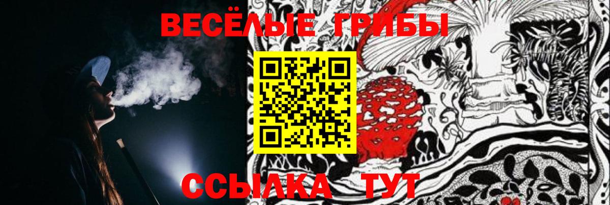 Псилоцибиновые грибы прущие грибы  Вход с VPN  Кировск 