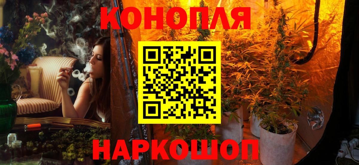 Бошки марихуана индика  Бошки марихуана тримм  Вход с VPN  Конопля MAZAR  Марихуана ГИДРОПОН  Кировск 